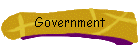Government